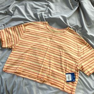 Striped Arizona Crop Top